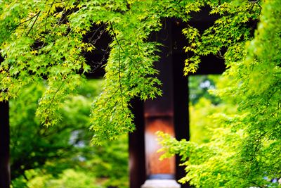 1024_洛東 南禅寺_京都府