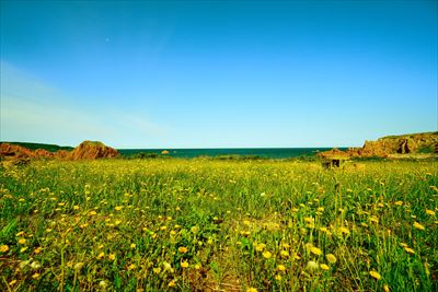 1038_行合崎_青森県