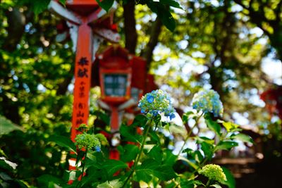 1013_高山稲荷神社_青森県