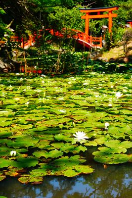 1013_高山稲荷神社_青森県