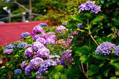 1038_JR末続駅周辺_福島県