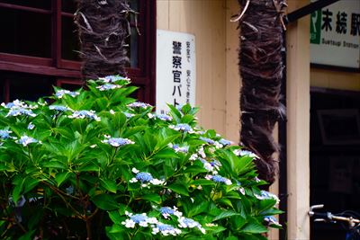 1039_JR末続駅周辺_福島県