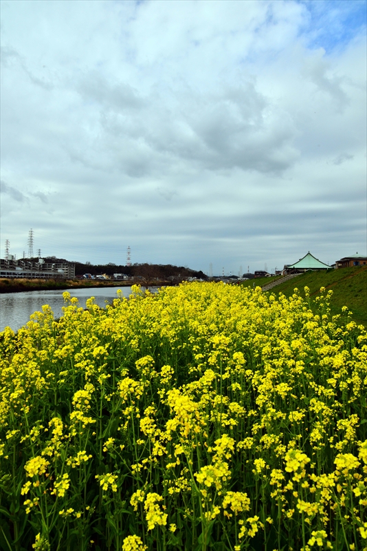 1020 鶴見川_神奈川県