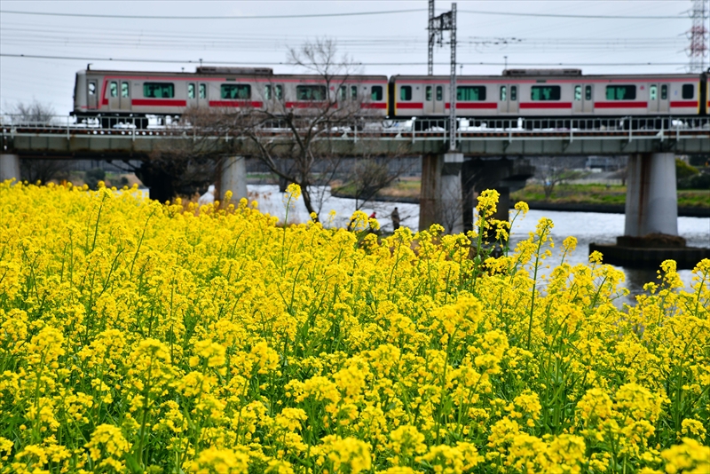 1022 鶴見川_神奈川県