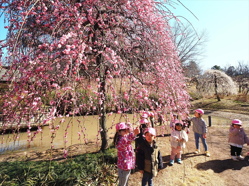 1135 大倉山公園_神奈川県