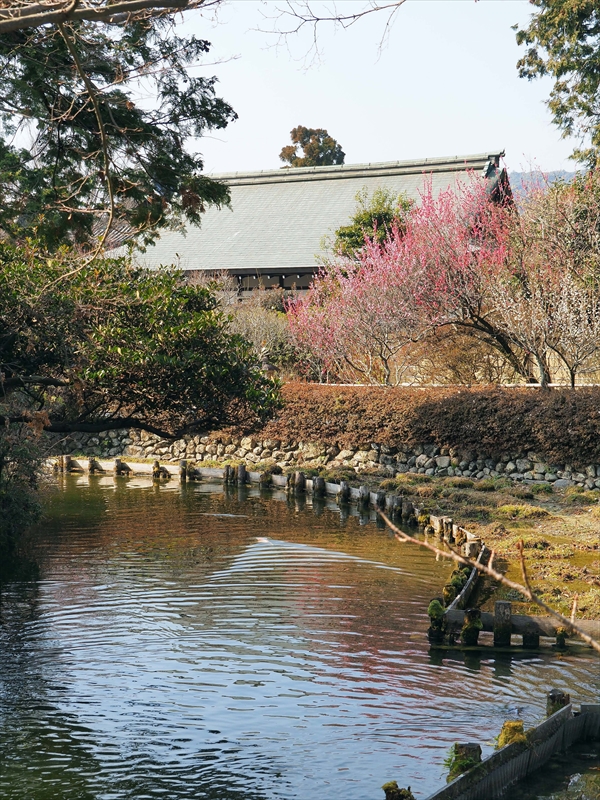 1008 洛西 梅宮大社_京都府