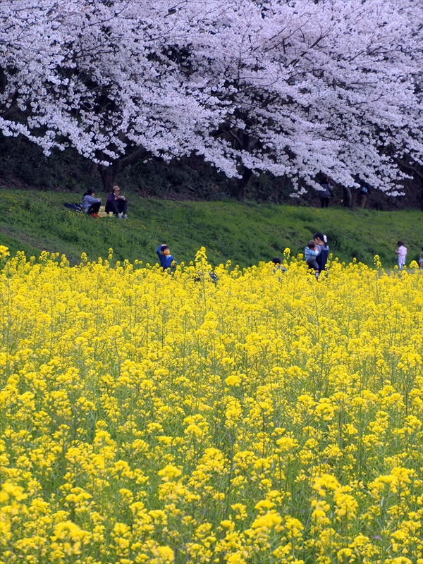 1048 水城跡_福岡県