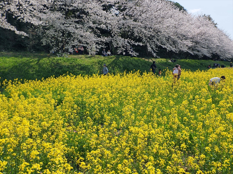 1056 水城跡_福岡県