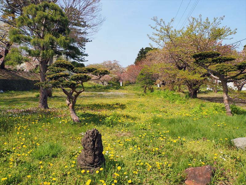 1003 松前公園_北海道