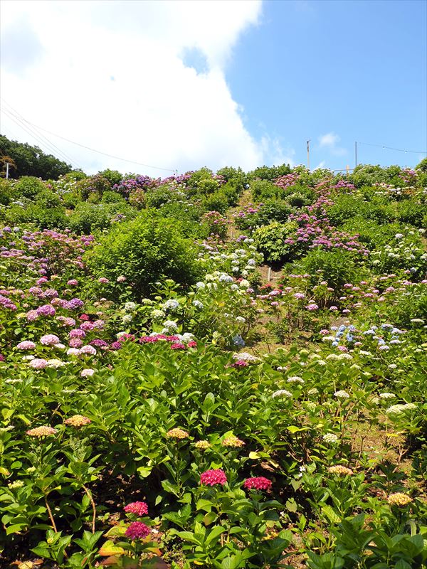 1157 蒲郡片原温泉_愛知県