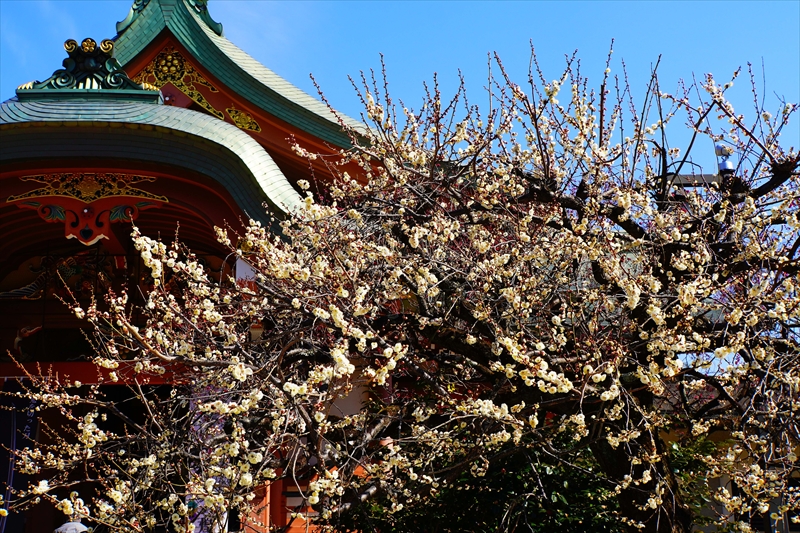 1112 洛中 北野天満宮_京都府