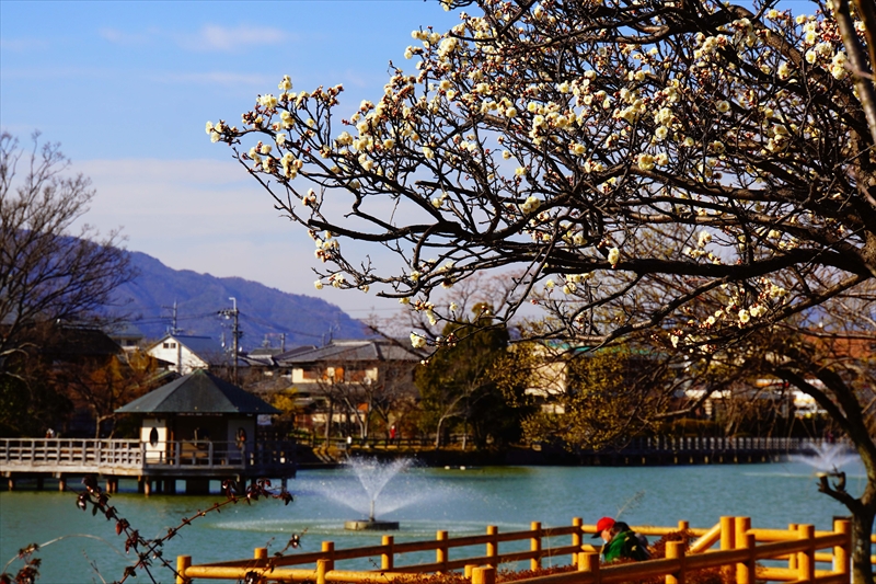 1017 洛西 長岡天満宮_京都府