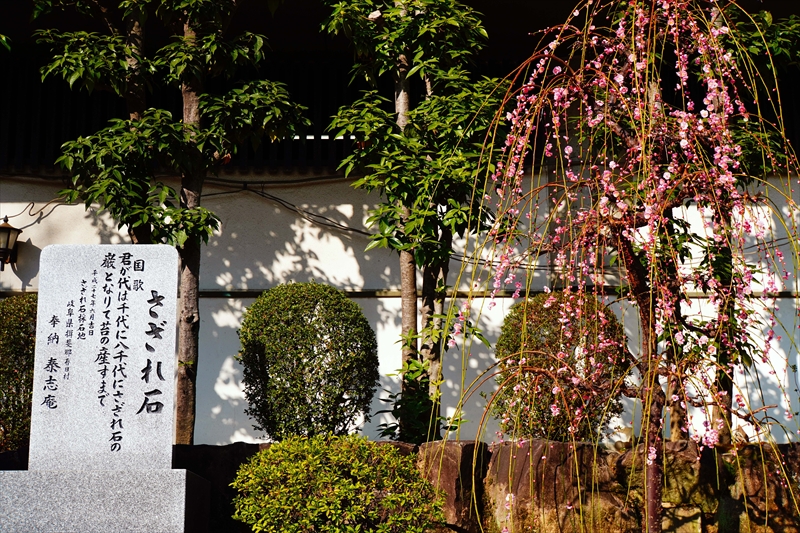 1039 大阪天満宮_大阪府