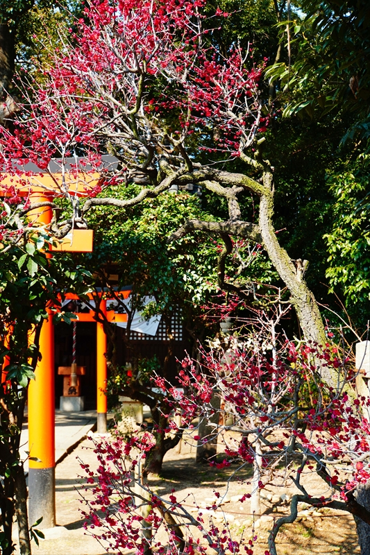 1065 道明寺天満宮）_大阪府