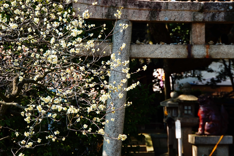 1070 道明寺天満宮）_大阪府