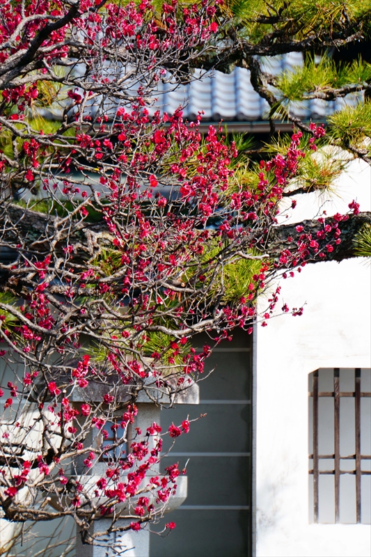 1010 洛中 法住寺_京都府