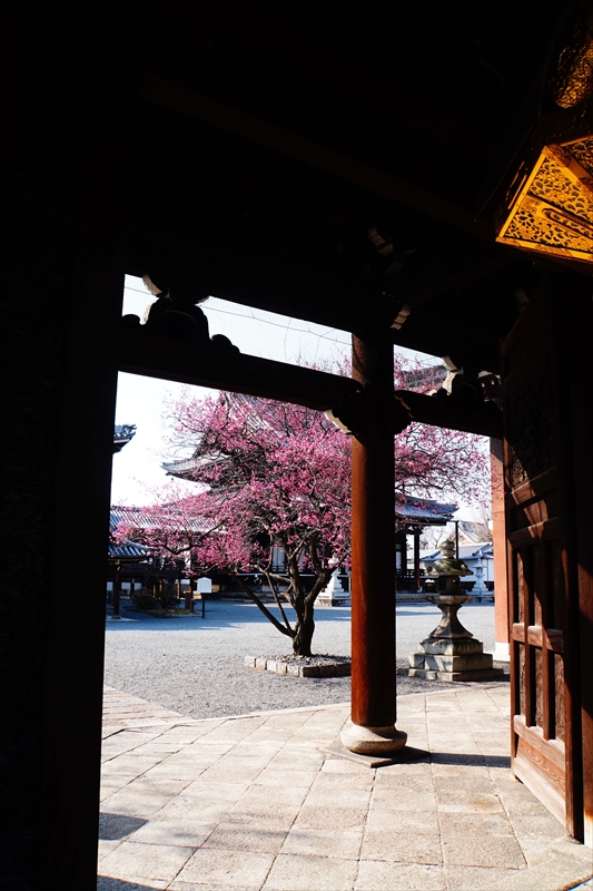 1031 洛中 東本願寺_京都府