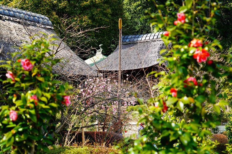 1068 西芳寺_神奈川県