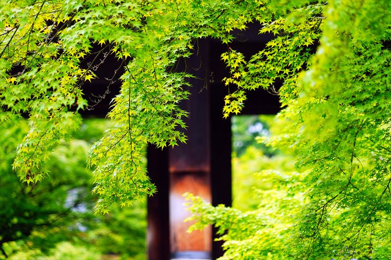 1023 洛東 南禅寺_京都府