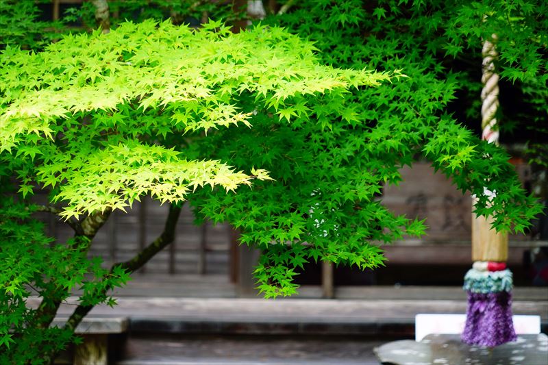 1027 洛東 南禅寺_京都府