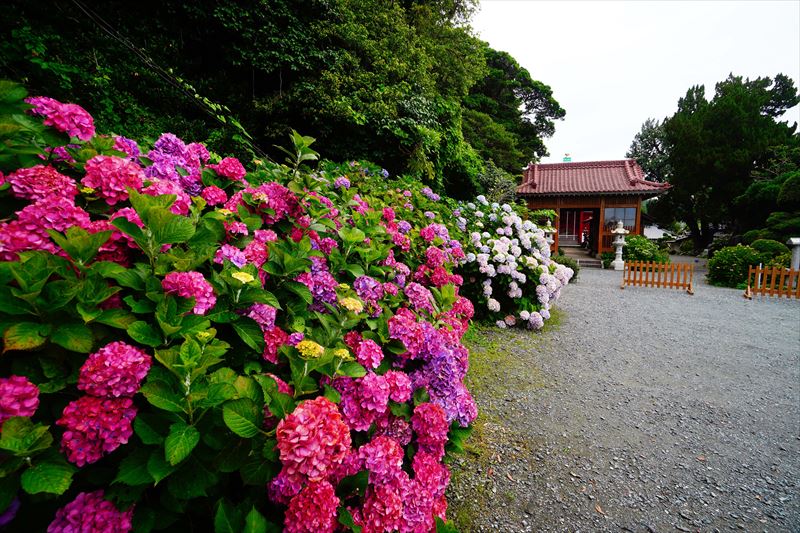 1025 波立薬師_福島県