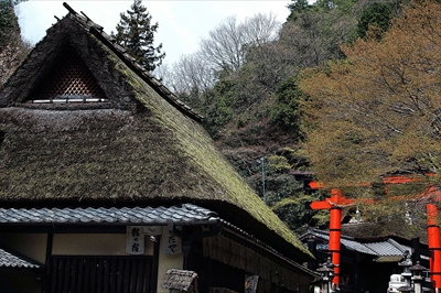 1042_5_嵯峨野_京都府