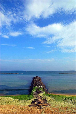 1058_マリンブルー_愛媛県