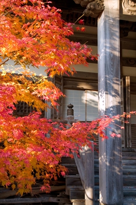 1035_東光寺_滋賀県