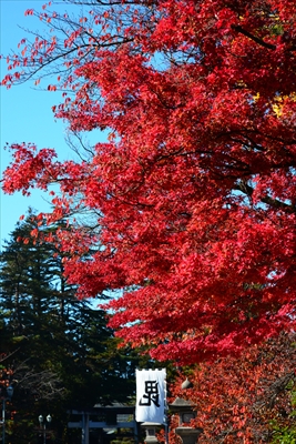 1021_上杉神社_山形県