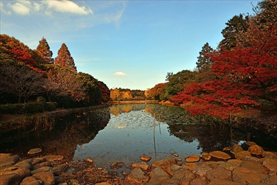 1025_三ッ池公園_神奈川県