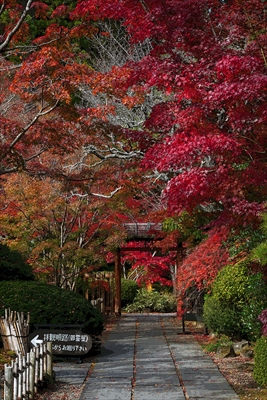 1020_円通院_宮城県