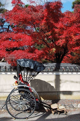 1074_紅力車（清凉寺）_京都