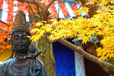 1067_今熊野観音寺_京都