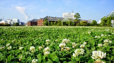 1040_しあわせ一杯_神奈川