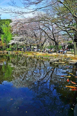 1047_横浜三ツ池公園_神奈川