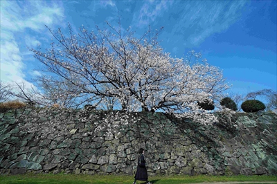 1089_一人舞台（福岡城）_福岡