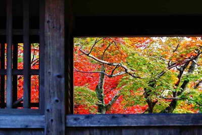 1072_清凉寺_京都