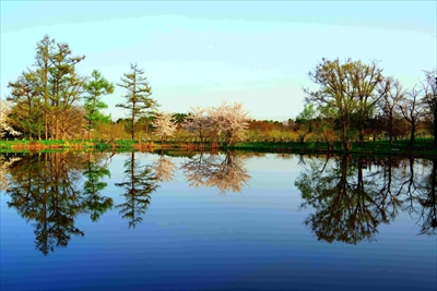 1026_浪岡湿生花園_青森