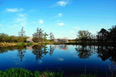 1027_浪岡湿生花園_青森